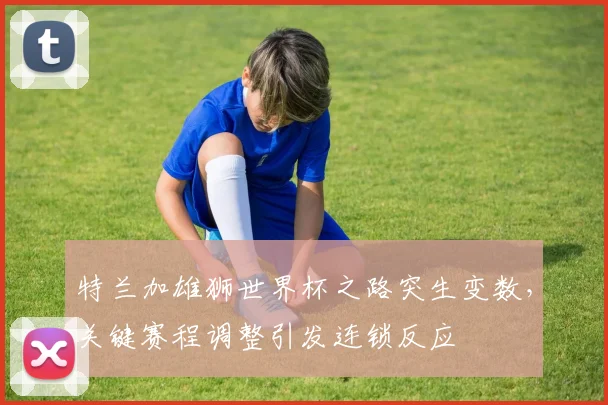 特兰加雄狮世界杯之路突生变数，关键赛程调整引发连锁反应